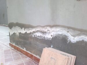 جهاز كشف الرطوبة في الجدران