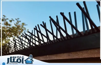 شركة مكافحة الحمام بالمدينة المنورة