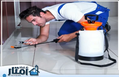شركة مكافحة الصراصير بالرياض